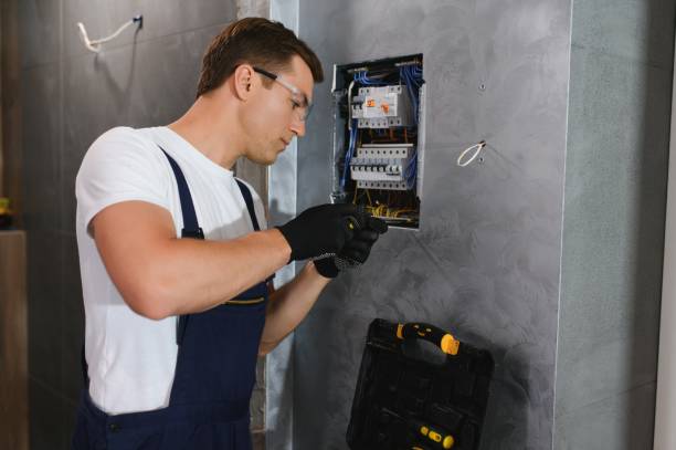 Best Electrical System Inspection  in Ramsey, MN