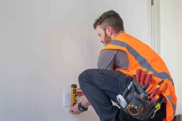 Best Electric Panel Repair  in Ramsey, MN